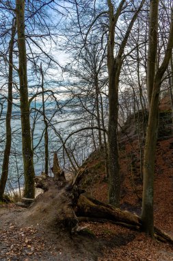 Gdynia yakınlarındaki Redlowski Kayalıkları 'nda yürüyüş yolu, turistler için patika, Birinci Dünya Savaşı' ndan beri ormanda gizlenmiş askeri anıtlar.