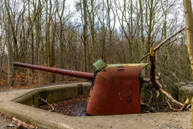 Gdynia kıyısındaki ormandaki ateş çukurları, askeri anıtlar, topçu mevzileri, Birinci Dünya Savaşı 'ndan kalma tarihi yerler.
