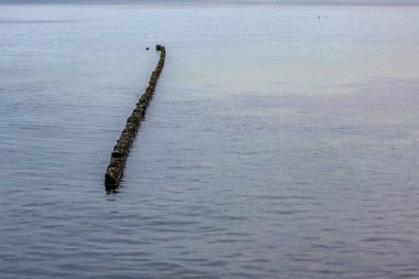 Sakin Baltık Denizi, kumsalda ahşap dalgalar Gdyni