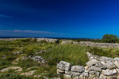 Rovinj yakınlarındaki Istrian Yarımadası 'ndaki Bronz Çağı yerleşkesi Monkodonja, taş duvarları yıktı ve Hırvatistan' da turistlerin ilgisini çekti.,