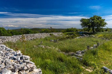 Rovinj yakınlarındaki Istrian Yarımadası 'ndaki Bronz Çağı yerleşkesi Monkodonja, taş duvarları yıktı ve Hırvatistan' da turistlerin ilgisini çekti.,