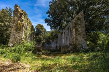 Ruins of the old church of St. Peter near ROvinj, Istrian Peninsula, destroyed church, Croatian monuments clipart