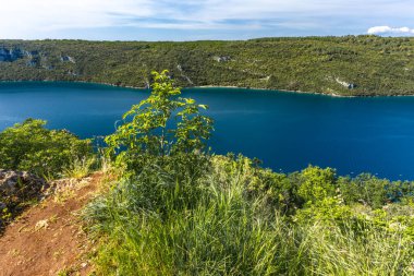 LIm Kanalı 'na bakış açısı, yemyeşil bitki örtüsü, vahşi doğa, Istrian Yarımadası' ndaki çekici turistik yer.