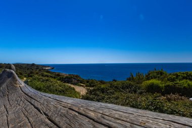 Vahşi kayalık plajı, Istrian Yarımadası, kristal mavi su, turistler için erişilmesi zor bir yer.