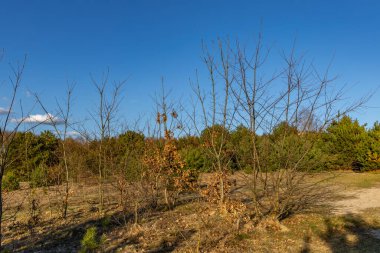 Bir çiftlik binasının eski çürük tahtaları, tahtadan yapılmış arka plan, arka plan olarak ahşap.
