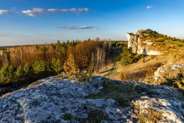 Towarne Dağları, Olsztyn 'deki şatonun etrafındaki alan, mavi pınara karşı dağların manzarası.