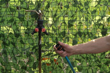 İki hortumu birbirine bağlamak için musluk ayırıcı, gardı sulamak için bir hortum bağlamak için.