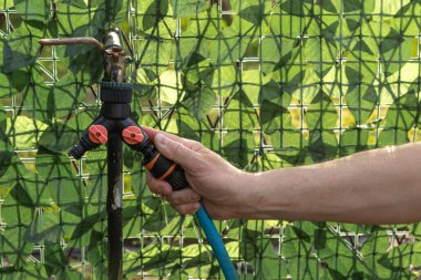 İki hortumu birbirine bağlamak için musluk ayırıcı, gardı sulamak için bir hortum bağlamak için.