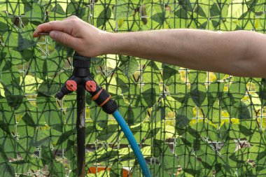 İki hortumu birbirine bağlamak için musluk ayırıcı, gardı sulamak için bir hortum bağlamak için.