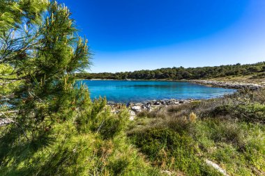 Yaz mevsiminde Kamenjak Yarımadası 'nda vahşi doğa ve bitki örtüsü, Adriyatik Denizi' nde masmavi su.