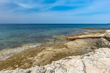 Çakıl taşlı plajlar, Rovinj yakınlarındaki Adriyatik kıyıları, FKK natürist plajı.