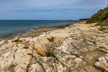 Çakıl taşlı plajlar, Rovinj yakınlarındaki Adriyatik kıyıları, FKK natürist plajı.