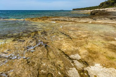 Çakıl taşlı plajlar, Rovinj yakınlarındaki Adriyatik kıyıları, FKK natürist plajı.