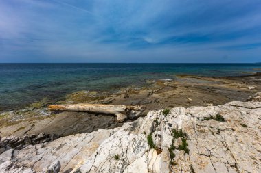 Çakıl taşlı plajlar, Rovinj yakınlarındaki Adriyatik kıyıları, FKK natürist plajı.