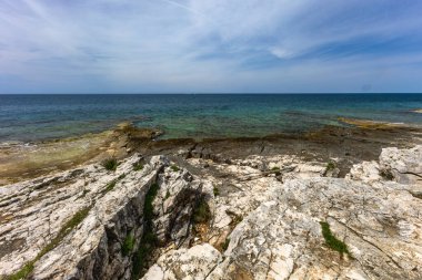 Çakıl taşlı plajlar, Rovinj yakınlarındaki Adriyatik kıyıları, FKK natürist plajı.