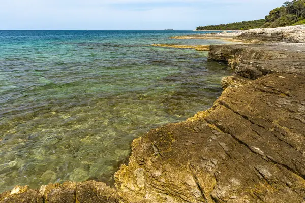Çakıl taşlı plajlar, Rovinj yakınlarındaki Adriyatik kıyıları, FKK natürist plajı.