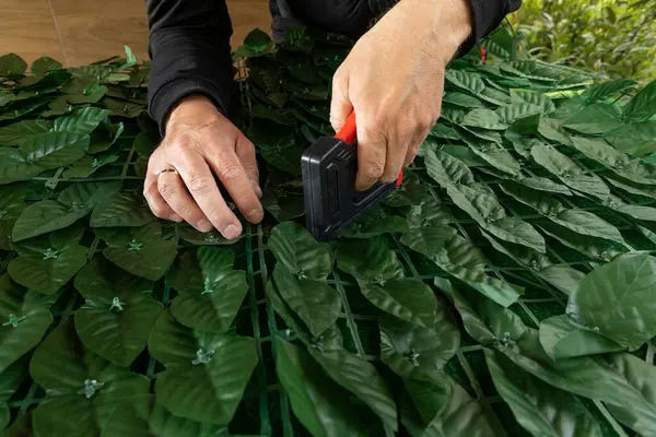 Bahçedeki evin ön cephesine yapay sarmaşık takmak bahçeye süsleme olarak yapay yapraklı bir ağ takmak, zımba takmak için bir raptiye.