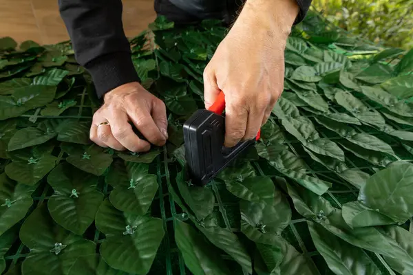 Bahçedeki evin ön cephesine yapay sarmaşık takmak bahçeye süsleme olarak yapay yapraklı bir ağ takmak, zımba takmak için bir raptiye.