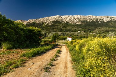 Baska 'dan mezarlığa ve St. John Kilisesi' ne uzanan turistik patika, Baska Kilisesi harabeleri, yukarıdan şehir manzarası, KR adasında plajı olan bir panorama.