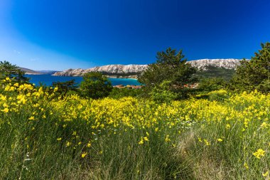 Baska 'dan mezarlığa ve St. John Kilisesi' ne uzanan turistik patika, Baska Kilisesi harabeleri, yukarıdan şehir manzarası, KR adasında plajı olan bir panorama.