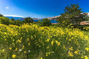 Baska 'daki eski kilisenin kalıntıları, bir tepede, KR' deki Baska kasabasının tepelerinde taş kalıntıları.
