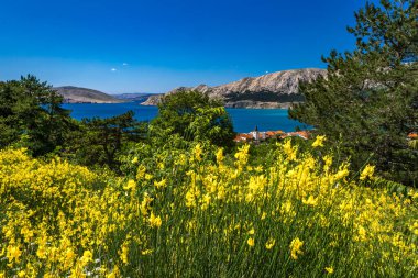 Baska 'dan mezarlığa ve St. John Kilisesi' ne uzanan turistik patika, Baska Kilisesi harabeleri, yukarıdan şehir manzarası, KR adasında plajı olan bir panorama.