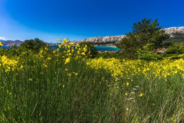 Baska 'dan mezarlığa ve St. John Kilisesi' ne uzanan turistik patika, Baska Kilisesi harabeleri, yukarıdan şehir manzarası, KR adasında plajı olan bir panorama.