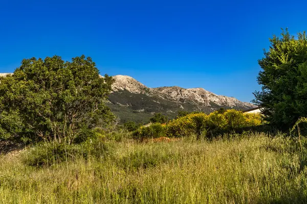 Baska 'dan mezarlığa ve St. John Kilisesi' ne uzanan turistik patika, Baska Kilisesi harabeleri, yukarıdan şehir manzarası, KR adasında plajı olan bir panorama.