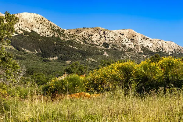 Baska 'dan mezarlığa ve St. John Kilisesi' ne uzanan turistik patika, Baska Kilisesi harabeleri, yukarıdan şehir manzarası, KR adasında plajı olan bir panorama.
