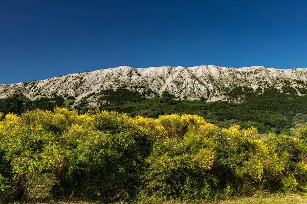 Baska 'dan mezarlığa ve St. John Kilisesi' ne uzanan turistik patika, Baska Kilisesi harabeleri, yukarıdan şehir manzarası, KR adasında plajı olan bir panorama.