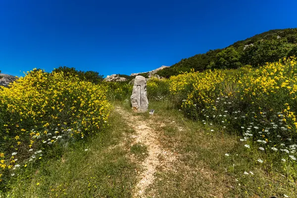 St. Christopher Kilisesi harap olmuş, KR adasındaki Baska kasabasının üzerindeki eski duvarlar.