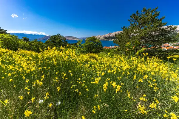Baska 'daki eski kilisenin kalıntıları, bir tepede, KR' deki Baska kasabasının tepelerinde taş kalıntıları.