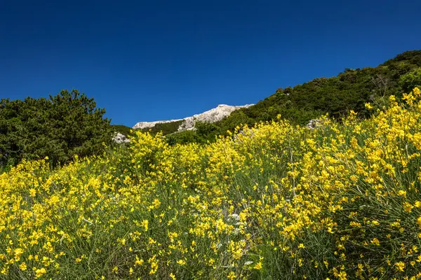 Baska 'dan mezarlığa ve St. John Kilisesi' ne uzanan turistik patika, Baska Kilisesi harabeleri, yukarıdan şehir manzarası, KR adasında plajı olan bir panorama.