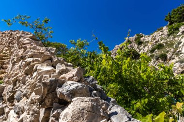KRK Hırvatistan adasındaki Baska 'dan Vela Luka plajına yürüyüş yolu
