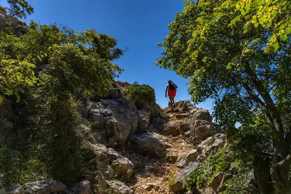 KRK Hırvatistan adasındaki Baska 'dan Vela Luka plajına yürüyüş yolu
