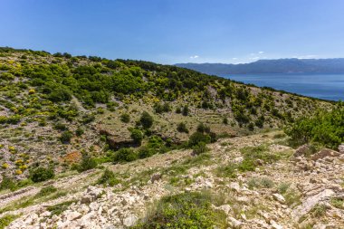 Yerli halk tarafından Baska 'dan Vela Luka plajına uzanan patikada inşa edilen taştan alçak duvarlar, koyun ve koç otlakları için diğer otlakların tepesine istiflenmiş taşlar