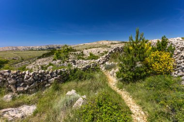KRK adasındaki Baska 'dan Vela Luka plajına yürüyüş yolu, Vrzenica Pulu Vadisi' ni geçmek.