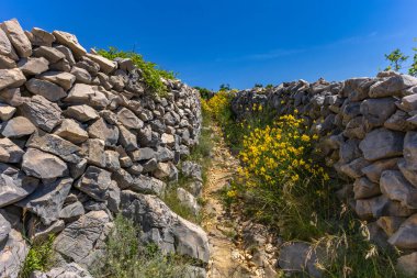 KRK adasındaki Baska 'dan Vela Luka plajına yürüyüş yolu, Vrzenica Pulu Vadisi' ni geçmek.