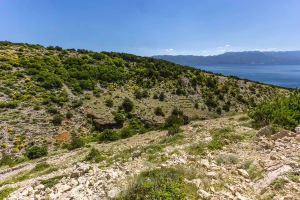 Yerli halk tarafından Baska 'dan Vela Luka plajına uzanan patikada inşa edilen taştan alçak duvarlar, koyun ve koç otlakları için diğer otlakların tepesine istiflenmiş taşlar