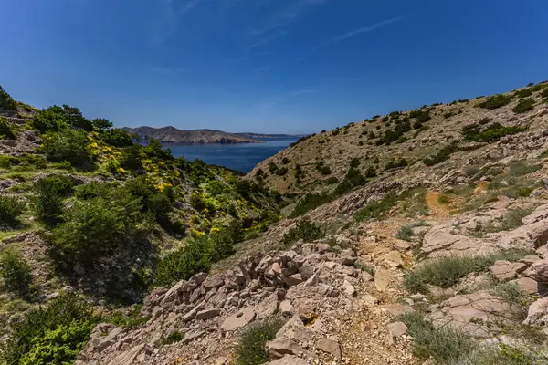 Yerli halk tarafından Baska 'dan Vela Luka plajına uzanan patikada inşa edilen taştan alçak duvarlar, koyun ve koç otlakları için diğer otlakların tepesine istiflenmiş taşlar
