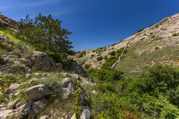KRK adasındaki Baska 'dan Vela Luka plajına yürüyüş yolu, Vrzenica Pulu Vadisi' ni geçmek.