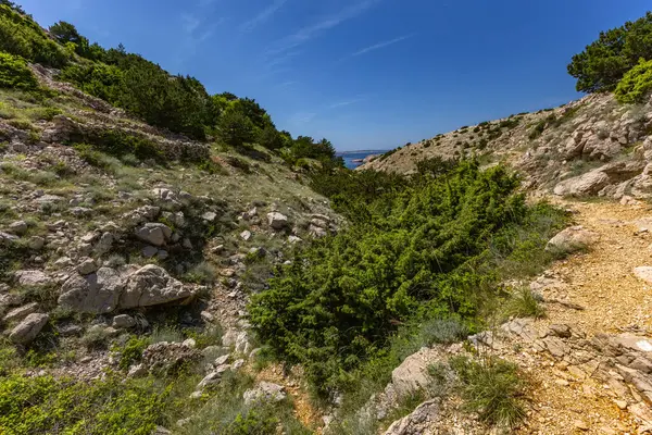 KRK adasındaki Baska 'dan Vela Luka plajına yürüyüş yolu, Vrzenica Pulu Vadisi' ni geçmek.