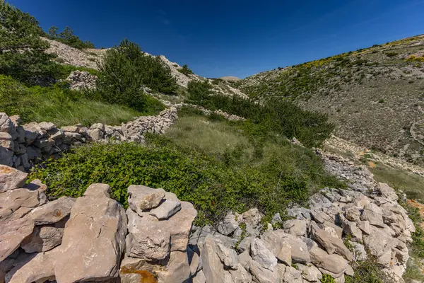 KRK adasındaki Baska 'dan Vela Luka plajına yürüyüş yolu, Vrzenica Pulu Vadisi' ni geçmek.