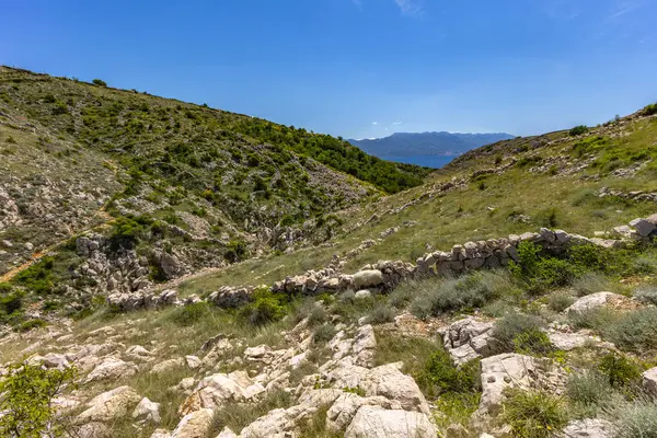 KRK adasındaki Baska 'dan Vela Luka plajına yürüyüş yolu, Vrzenica Pulu Vadisi' ni geçmek.