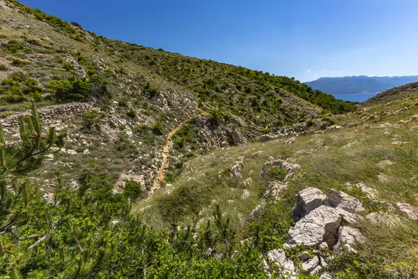 KRK adasındaki Baska 'dan Vela Luka plajına yürüyüş yolu, Vrzenica Pulu Vadisi' ni geçmek.