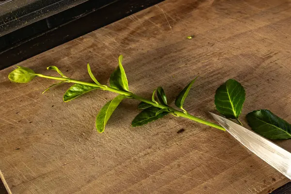 Kiraz ağaçlarını küçük saksılara nakletmek, taze kiraz ağaçlarının kökünü kazımak, filizleri budamak, grupta tohum ekmek.