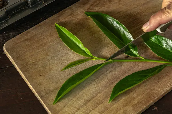 Kiraz ağaçlarını küçük saksılara nakletmek, taze kiraz ağaçlarının kökünü kazımak, filizleri budamak, grupta tohum ekmek.