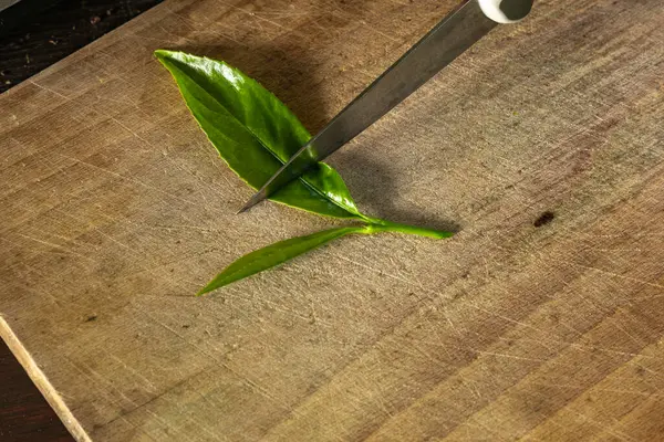 Kiraz ağaçlarını küçük saksılara nakletmek, taze kiraz ağaçlarının kökünü kazımak, filizleri budamak, grupta tohum ekmek.