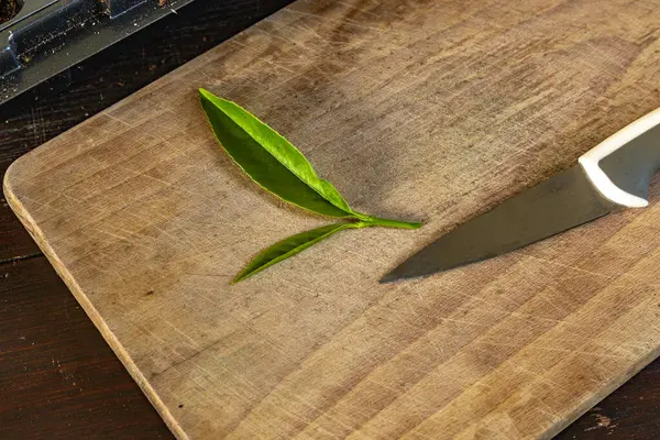 Kiraz ağaçlarını küçük saksılara nakletmek, taze kiraz ağaçlarının kökünü kazımak, filizleri budamak, grupta tohum ekmek.