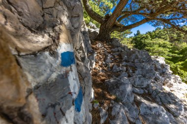 Hırvatistan 'ın KRK adasındaki Jablanova Plajı, Adriyatik Denizi manzaralı boş bir çakıl taşı plajına, vahşi doğaya ve yemyeşil Akdeniz bitkilerine giden mavi yol,